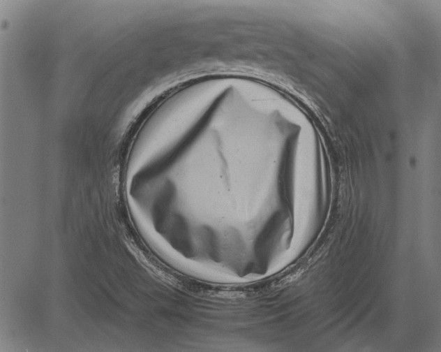 X0000081451503200702021729