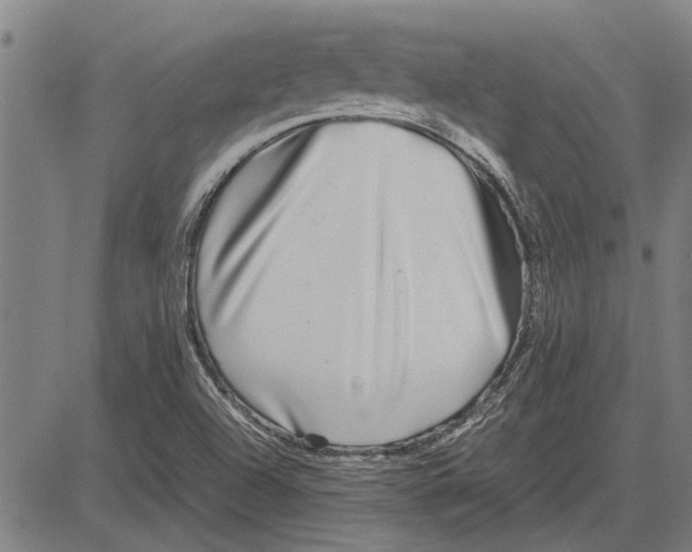 X0000081451504200702021729