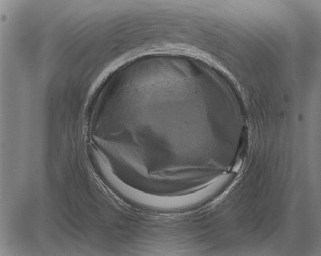 X0000081451506200702021729