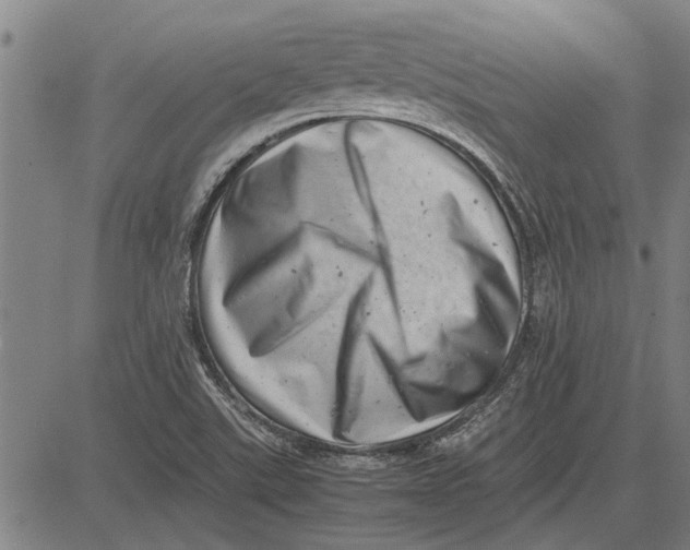 X0000081451507200702021729