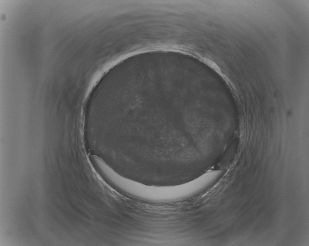 X0000081451508200702021729