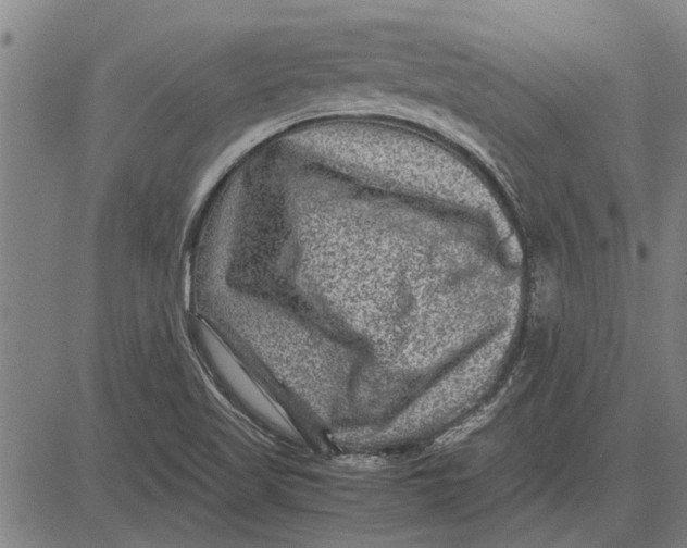 X0000081451509200702021729