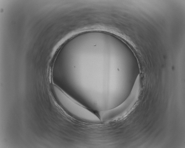 X0000081451510200702021729