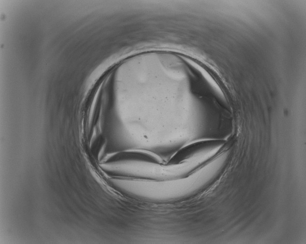 X0000081451511200702021729