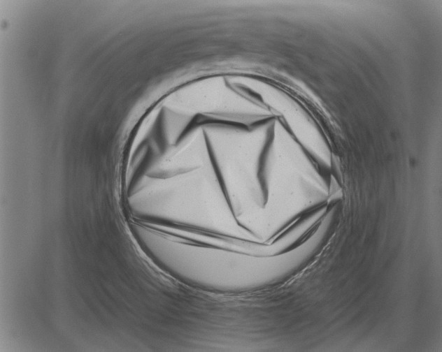 X0000081451512200702021729