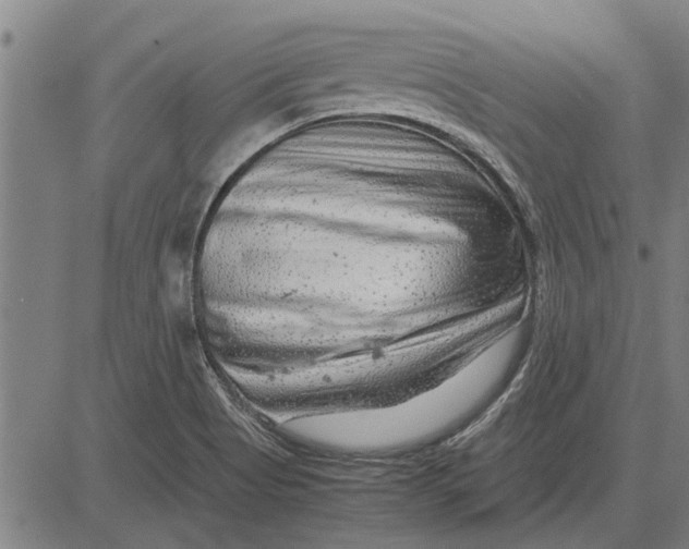 X0000081451513200702021729