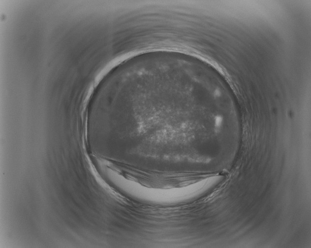 X0000081451515200702021729