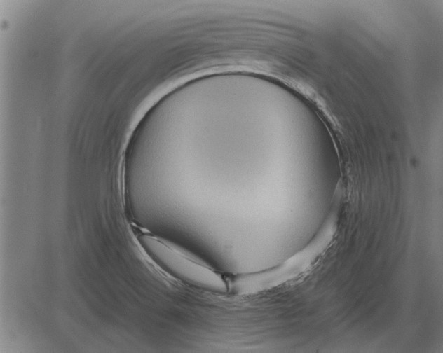 X0000081451516200702021729