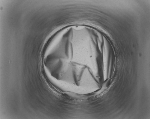 X0000081451517200702021729