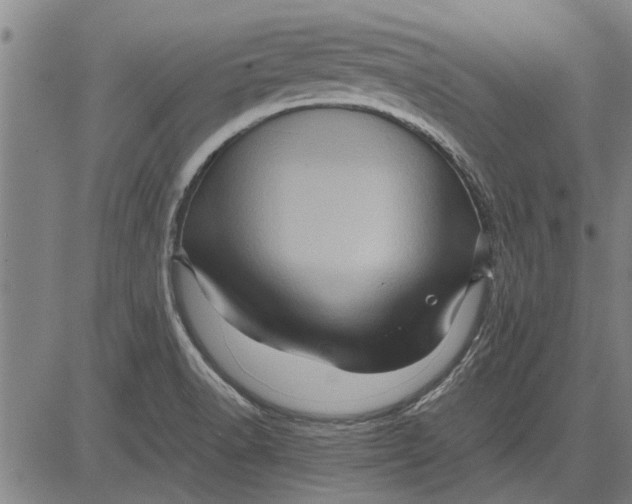 X0000081451518200702021729