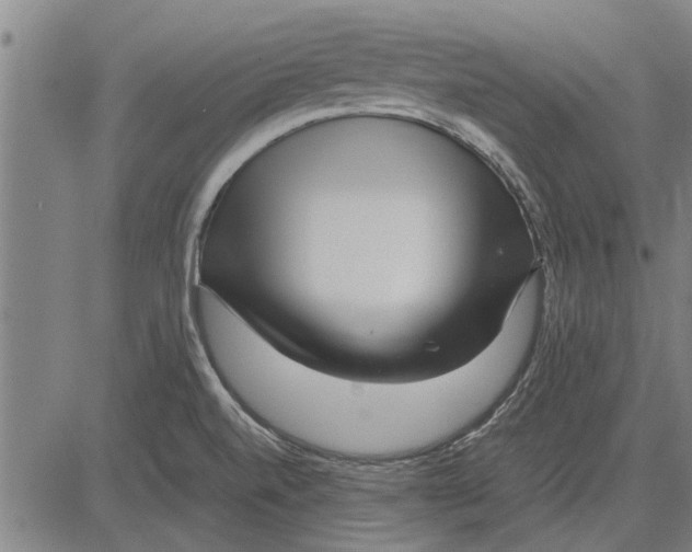 X0000081451520200702021729