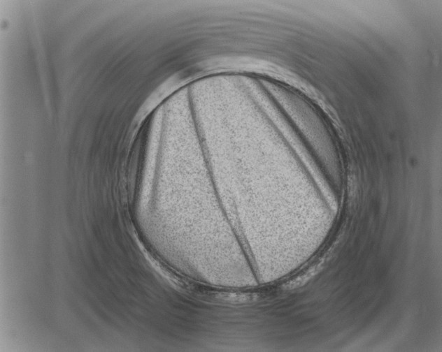 X0000081451521200702021729