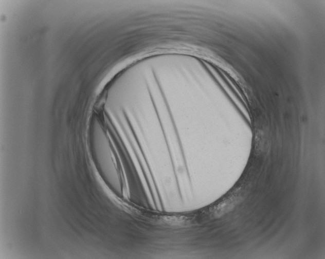 X0000081451523200702021729