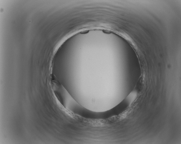 X0000081451524200702021729