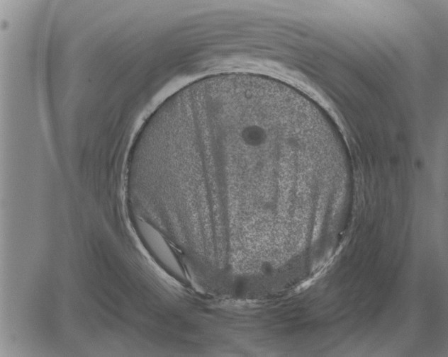 X0000081451525200702021729