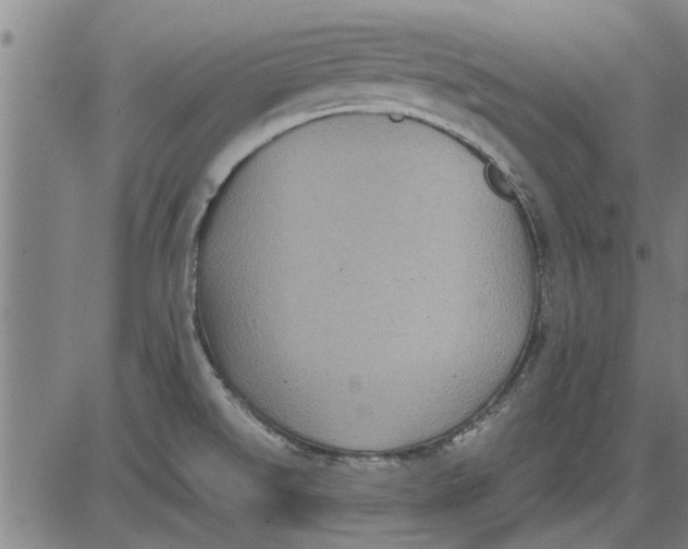 X0000081451526200702021729