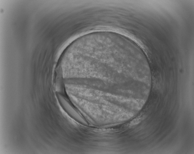 X0000081451527200702021729