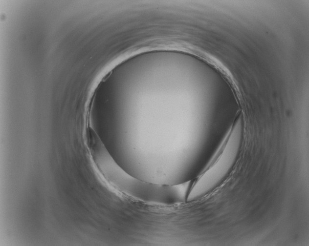 X0000081451528200702021729