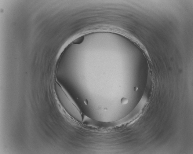 X0000081451530200702021729