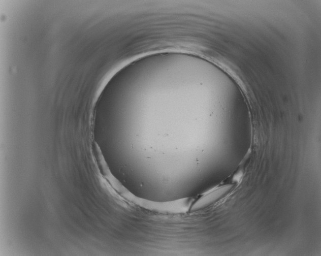 X0000081451532200702021730