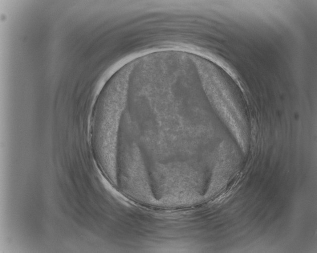 X0000081451535200702021730