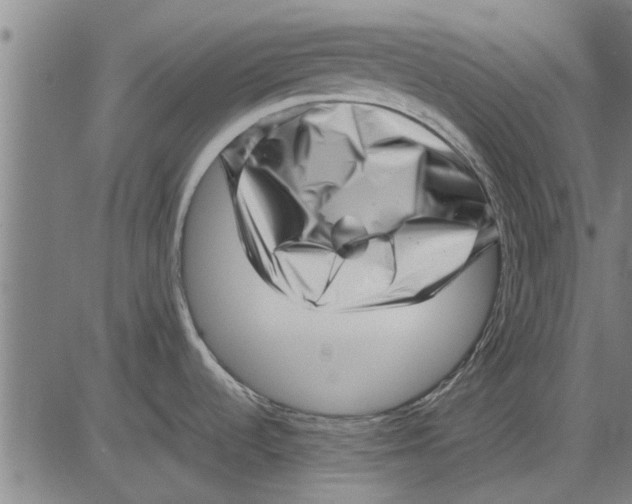 X0000081451536200702021730