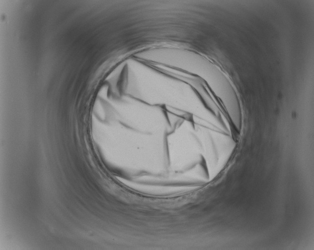 X0000081450001200702092301