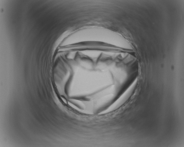 X0000081450003200702092301