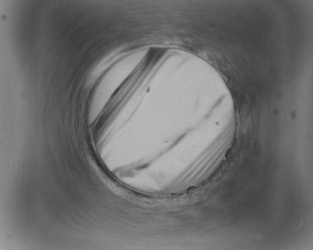 X0000081450005200702092301