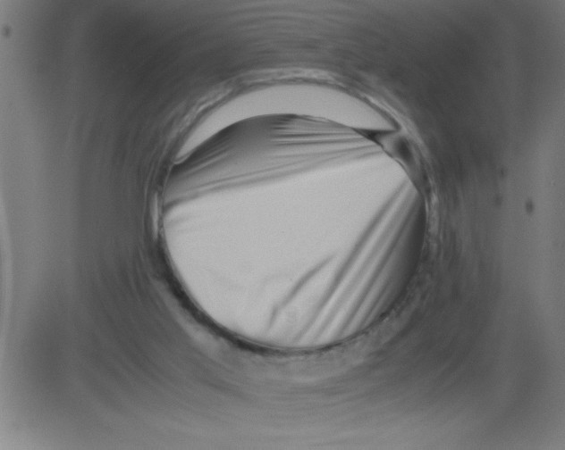 X0000081450013200702092301