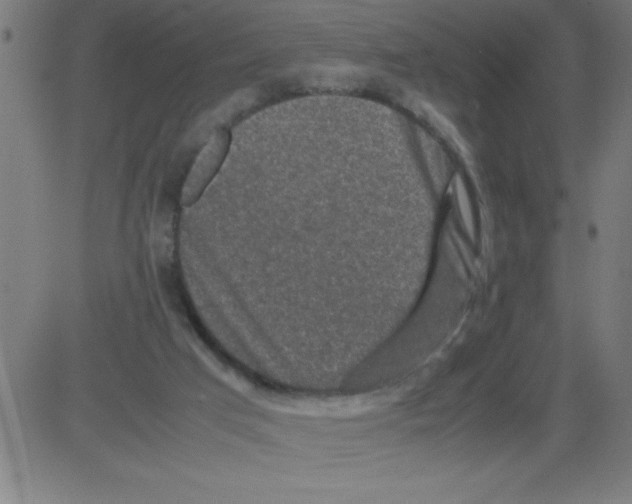 X0000081450017200702092301