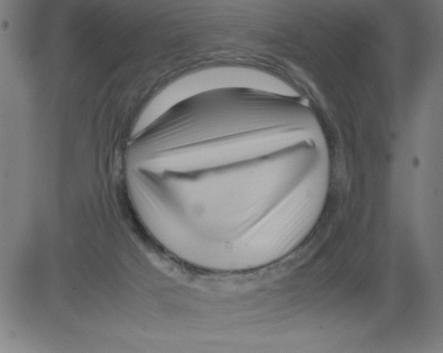 X0000081450025200702092301