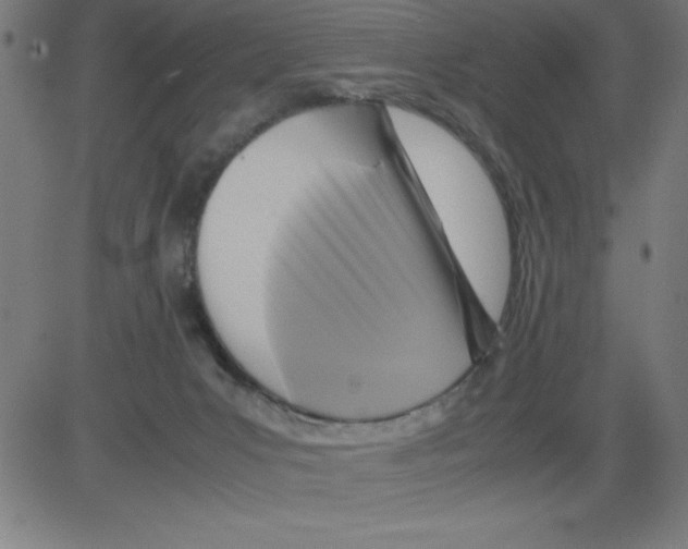 X0000081450031200702092301