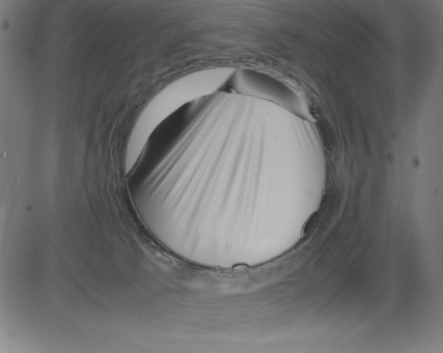 X0000081450033200702092301