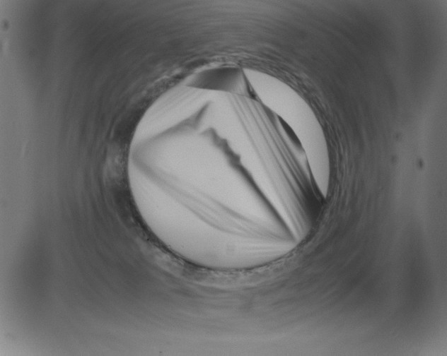 X0000081450037200702092301