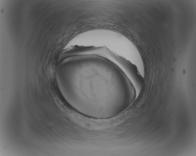 X0000081450039200702092301