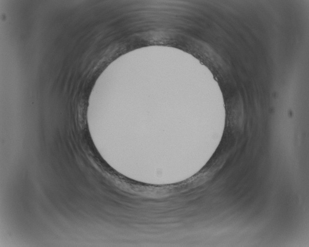 X0000081450044200702092301