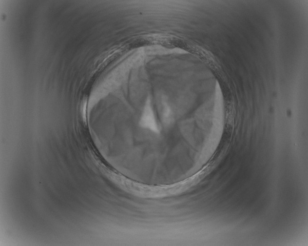 X0000081450047200702092300