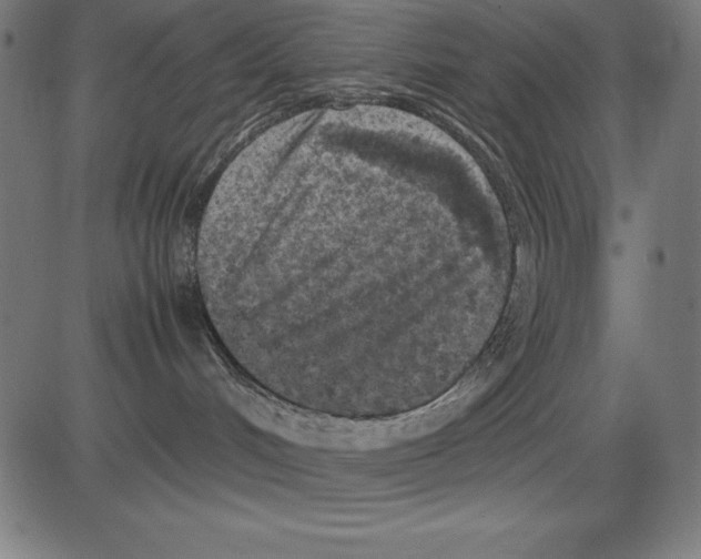 X0000081450048200702092300