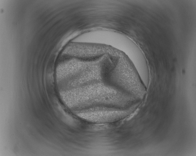 X0000081450050200702092300