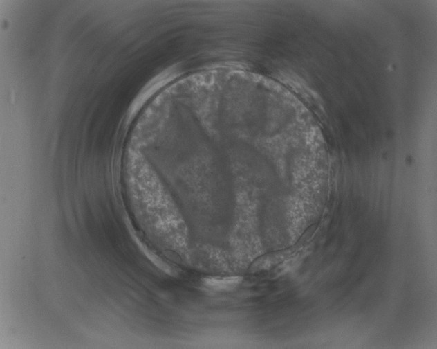 X0000081450051200702092300