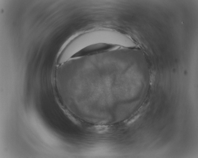 X0000081450052200702092300