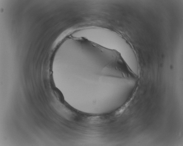X0000081450054200702092300