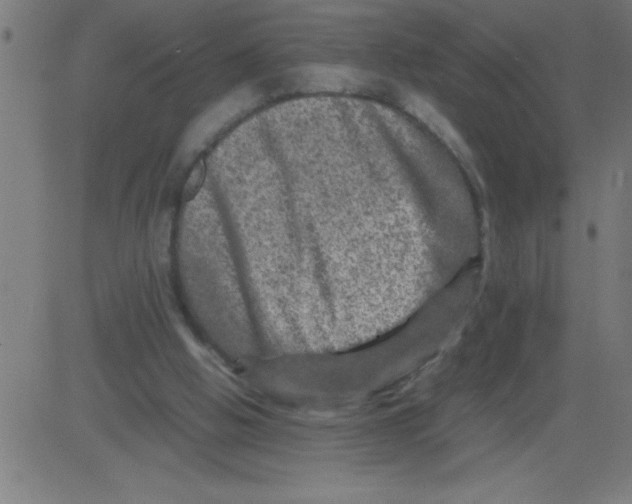 X0000081450058200702092300