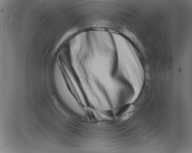 X0000081450060200702092300