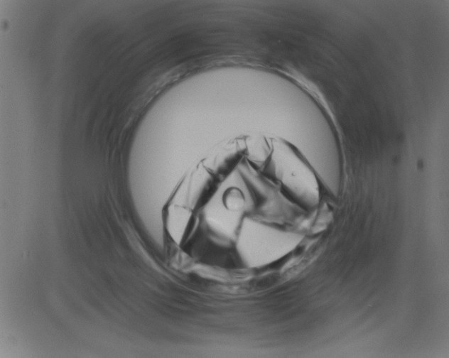 X0000081450061200702092300
