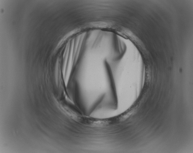 X0000081450064200702092300