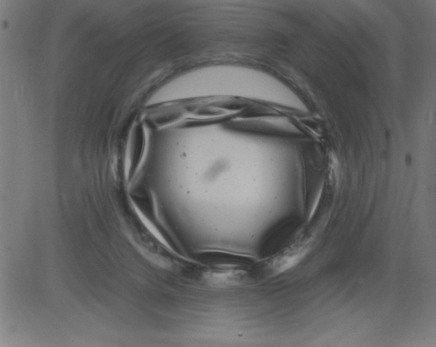 X0000081450072200702092300