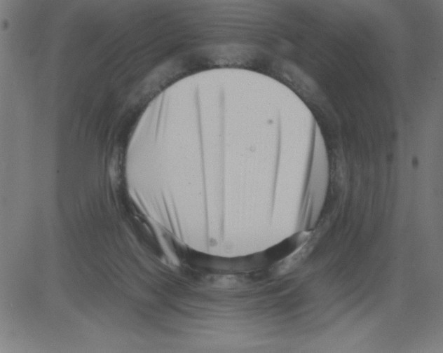 X0000081450074200702092300