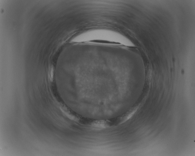 X0000081450076200702092300
